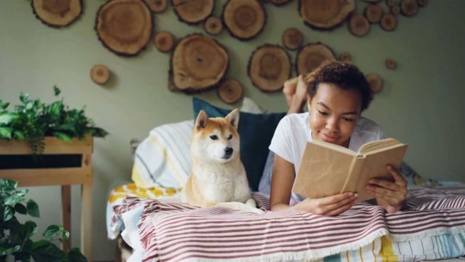 go to Hund statt Partner: Neben dem Vierbeiner schläft es sich besser